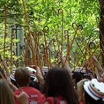 Penn Hey Day Tradition